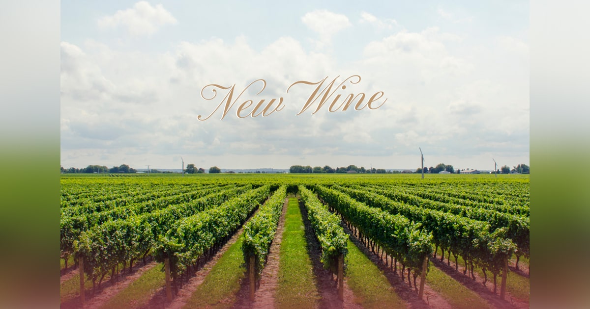 New Wine